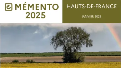 Logo m&eacute;mento 2025