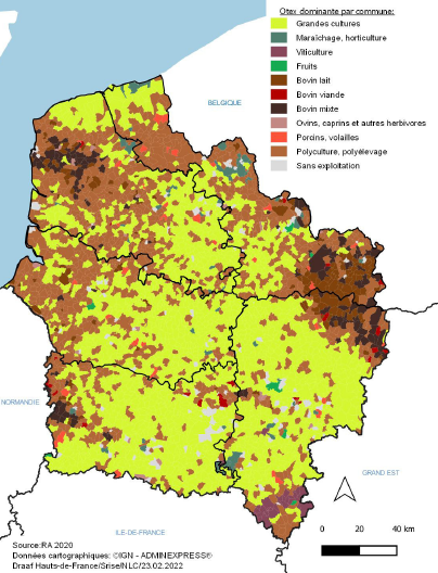 La carte montre la production agricole dominante par commune dans les Hauts-de-France. Les grandes cultures occupent la majeure partie du territoire, surtout dans les zones centrales et du sud. Les élevages bovins, mixtes ou spécialisés dans la viande et le lait, sont davantage présents dans les zones du nord et de l'est. Les productions de porcs, volailles, ovins et caprins apparaissent de manière plus localisée. Les activités de maraîchage, d'horticulture et de viticulture sont concentrées dans quelques secteurs spécifiques. Certaines communes ne comptent pas d'exploitation agricole.