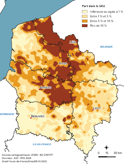 Carte représentant la part de la culture de la pomme de terre dans la surface agricole utilisée en 2023 dans les Hauts-de-France. Les zones les plus cultivées, avec plus de 10 % de la surface, se situent dans la Flandre maritime, l'Artois, le Cambrésis et le Santerre. Les parts diminuent vers le sud et l'est de la région, où la culture de la pomme de terre occupe moins de 1 % de la surface agricole.