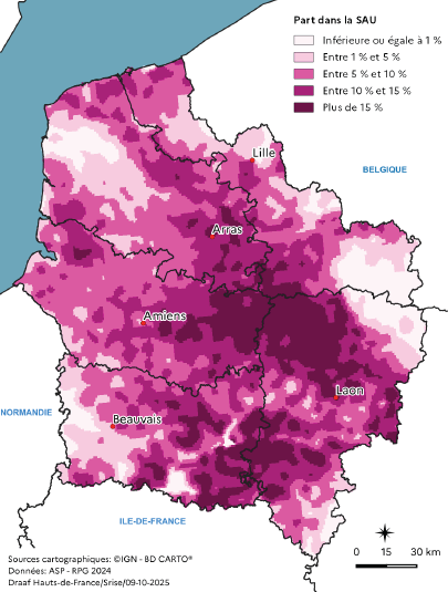 Carte représentant la part de la culture de la betterave sucrière dans la surface agricole utilisée en 2023 dans les Hauts-de-France. Les zones de forte concentration, avec plus de 15 % de la surface, se situent dans le Santerre, le Noyonnais, le Soissonnais et la Champagne crayeuse. Les parts sont modérées, entre 5 % et 15 %, dans le Cambrésis, l'Artois et le Ternois, et faibles, inférieures à 1 %, dans les zones côtières et les reliefs du nord-ouest.