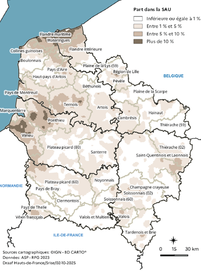 Carte représentant la part du lin textile dans la surface agricole utilisée en 2023 dans les Hauts-de-France. Les zones de forte concentration, avec plus de 10 % de la surface, se situent dans la Flandre maritime, le Boulonnais et le Pays de Montreuil. Les parts sont modérées, entre 5 % et 10 %, dans le Ponthieu, le Ternois et le Santerre, et faibles, inférieures à 1 %, dans le sud et l'est de la région, notamment dans la Thiérache et la Champagne crayeuse.