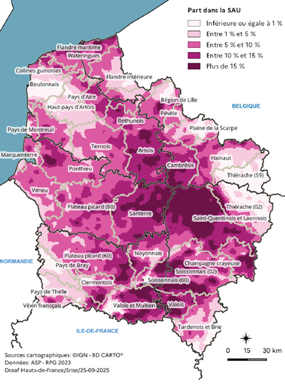 Carte représentant la part de la culture de la betterave sucrière dans la surface agricole utilisée en 2023 dans les Hauts-de-France. Les zones de forte concentration, avec plus de 15 % de la surface, se situent dans le Santerre, le Noyonnais, le Soissonnais et la Champagne crayeuse. Les parts sont modérées, entre 5 % et 15 %, dans le Cambrésis, l'Artois et le Ternois, et faibles, inférieures à 1 %, dans les zones côtières et les reliefs du nord-ouest.
