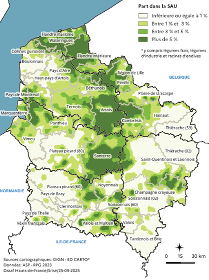 Carte représentant la part des légumes dans la surface agricole utilisée en 2023 dans les Hauts-de-France. Les zones les plus cultivées, avec plus de 5 % de la surface, se situent dans la Flandre maritime, le Boulonnais, le Santerre et le Noyonnais. Les parts sont modérées, entre 1 % et 5 %, dans l'Artois, la Picardie maritime et le Soissonnais, et faibles, inférieures à 1 %, dans les zones du sud et de l'est de la région.