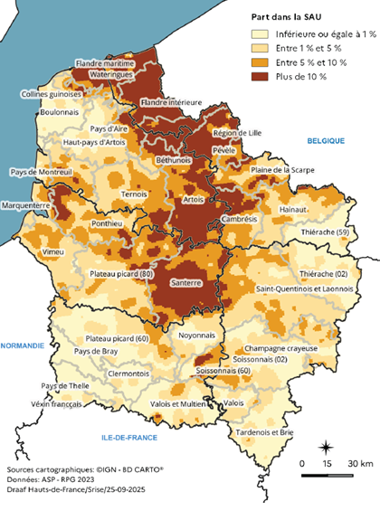 Carte représentant la part de la culture de la pomme de terre dans la surface agricole utilisée en 2023 dans les Hauts-de-France. Les zones les plus cultivées, avec plus de 10 % de la surface, se situent dans la Flandre maritime, l'Artois, le Cambrésis et le Santerre. Les parts diminuent vers le sud et l'est de la région, où la culture de la pomme de terre occupe moins de 1 % de la surface agricole.