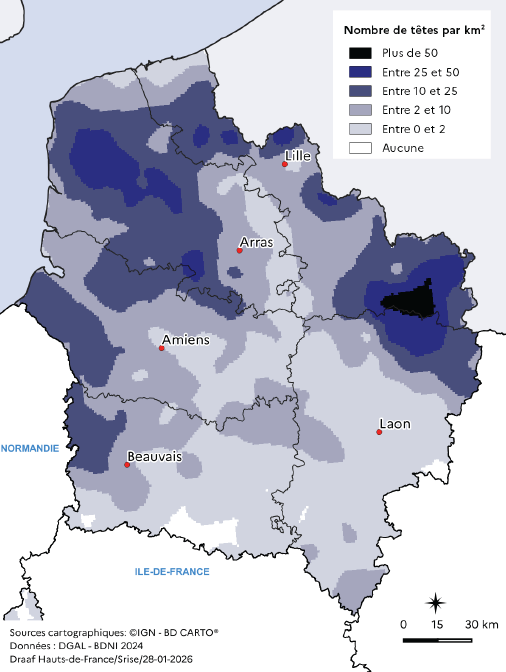 Carte représentant la densité de vaches laitières par kilomètre carré dans la région Hauts-de-France. Les zones les plus foncées indiquent les densités les plus élevées. Les concentrations les plus fortes, supérieures à 50 têtes par km², se situent principalement dans l'est de l'Aisne et le nord du Nord, autour de Maubeuge. Des densités comprises entre 25 et 50 têtes par km² apparaissent dans le sud du Pas-de-Calais, le nord de la Somme et certaines zones du nord de l'Oise. Les densités plus faibles, entre 2 et 25 têtes par km², couvrent la majeure partie de la région, notamment autour d'Amiens, Arras et Beauvais. Les zones les plus claires, où l'élevage bovin est quasi absent, se trouvent dans le sud de l'Oise et le centre de la Somme.