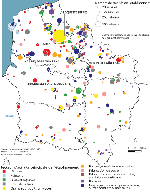 Carte représentant les principaux établissements agroalimentaires des Hauts-de-France au 31 décembre 2023, classés par ordre décroissant des effectifs salariés. Les plus grands établissements, dépassant 500 salariés, se situent principalement dans le nord et l'ouest de la région. Parmi eux, Roquette Frères dans le Pas-de-Calais (secteur des produits amylacés), Herta dans la Somme (viandes et charcuterie), Bonduelle Europe Long Life dans le Nord (fruits et légumes), Moy Park France SAS dans l'Aisne (viandes), et Häagen-Dazs Arras SNC dans le Pas-de-Calais (produits glacés). Les établissements de taille moyenne (100 à 250 salariés) sont répartis sur l'ensemble du territoire, notamment autour de Lille, Arras, Amiens et Saint-Quentin. Les plus petites structures (moins de 100 salariés) sont nombreuses et couvrent tous les départements, témoignant d'un tissu industriel dense et diversifié. La carte met en évidence la forte concentration d'emplois agroalimentaires dans le nord et l'ouest des Hauts-de-France, ainsi que la diversité des filières représentées, allant de la transformation des produits agricoles à la fabrication de denrées élaborées.