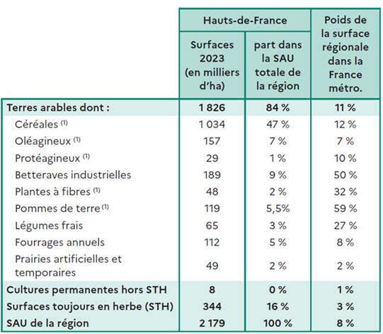 Tableau présentant la répartition des surfaces agricoles utilisées en 2023 dans les Hauts-de-France. Les terres arables représentent 84 % de la surface agricole, dont 47 % en céréales, 7 % en oléagineux, 1 % en protéagineux, 6 % en betteraves industrielles et 5,5 % en pommes de terre. Les surfaces toujours en herbe comptent pour 16 % et les cultures permanentes pour une part marginale. La région représente 8 % de la surface agricole utilisée de la France métropolitaine.