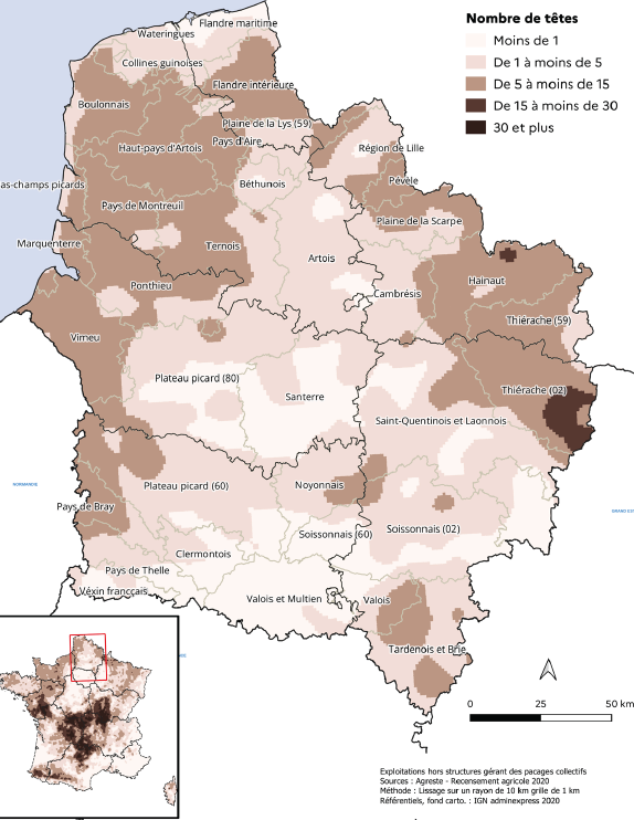 Carte représentant la densité moyenne de vaches allaitantes par kilomètre carré dans les Hauts-de-France. Les teintes les plus claires indiquent une densité inférieure à une vache allaitante par km², tandis que les teintes plus foncées traduisent des densités plus élevées, pouvant dépasser 30 vaches allaitantes par km². Les concentrations les plus importantes se situent dans l'est de la région, notamment dans la Thiérache et l'Avesnois, autour d'Hirson et de Trélon. Des densités moyennes apparaissent également dans le Boulonnais, le Haut-Pays d'Artois, le Ponthieu et le sud de l'Oise. Les zones centrales et occidentales, comme le Santerre, le Plateau picard ou le Noyonnais, présentent une densité beaucoup plus faible.