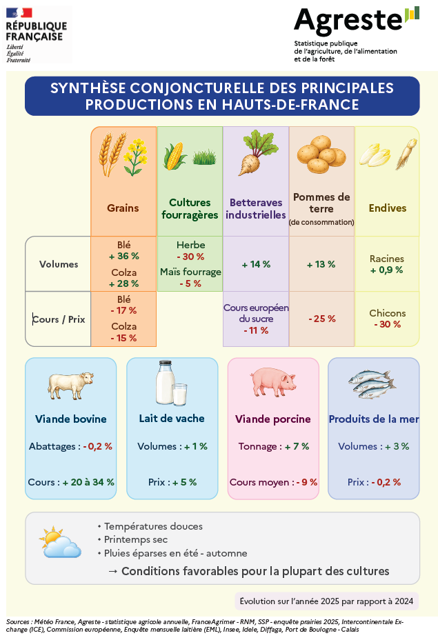 Synthèse des tendances agricoles en Hauts-de-France en 2025 montrant des variations de volumes et prix pour les principales productions comme les grains, herbes fourragères, betteraves, pommes de terre, endives, viande bovine, lait de vache, viande porcine et produits de la mer avec des conditions climatiques favorables. Description générée par IA