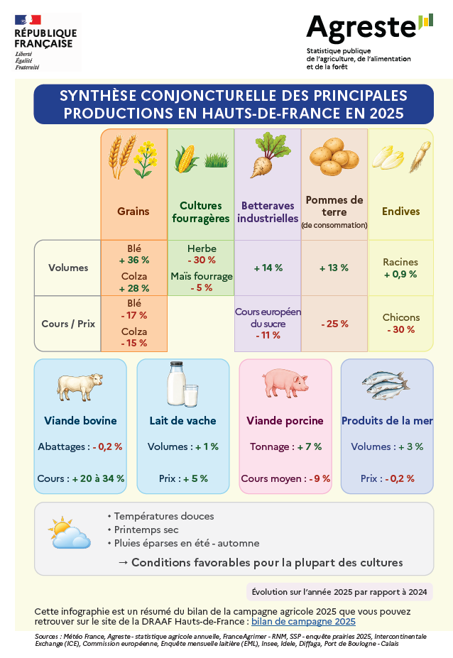 Synthèse des tendances agricoles en Hauts-de-France en 2025 montrant des variations de volumes et prix pour les principales productions comme les grains, herbes fourragères, betteraves, pommes de terre, endives, viande bovine, lait de vache, viande porcine et produits de la mer avec des conditions climatiques favorables. Description générée par IA