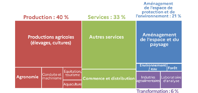 Tableau représentant la répartition des élèves selon les secteurs professionnels visés sur l'année scolaire 2024/2025. Le secteur de la production représente 40 % des emplois. Il comprend les productions agricoles, incluant les élevages et les cultures, ainsi que les domaines de l'agronomie, de la conduite et du machinisme, de l'équitation et du tourisme, et de l'aquaculture. Le secteur des services représente 33 % des emplois. Il regroupe les activités de commerce et de distribution ainsi que d'autres services. Le secteur de l'aménagement de l'espace, de la protection et de l'environnement représente 21 % des emplois. Il inclut l'aménagement de l'espace et du paysage, l'environnement et l'eau, ainsi que la forêt. Le secteur de la transformation représente 6 % des emplois. Il comprend les industries agroalimentaires et les laboratoires d'analyse.