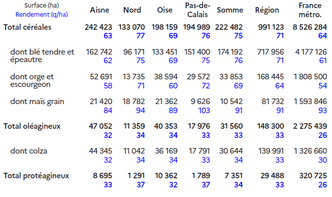 Le tableau présente les surfaces cultivées et les rendements moyens des principales productions végétales dans les départements des Hauts-de-France, comparés à la moyenne nationale. Pour les céréales, la région compte 991 123 hectares cultivés, avec un rendement moyen de 71 quintaux par hectare, légèrement inférieur à la moyenne française (81 q/ha). Les surfaces les plus importantes se trouvent dans l'Aisne (242 423 ha) et la Somme (222 482 ha). Le blé tendre et l'épeautre dominent les cultures céréalières avec 717 956 ha et un rendement de 71 q/ha, contre 76 q/ha au niveau national. L'orge et l'escourgeon couvrent 168 445 ha avec un rendement de 64 q/ha, tandis que le maïs grain représente 71 723 ha pour un rendement de 91 q/ha, proche de la moyenne française (96 q/ha). Les oléagineux occupent 148 300 hectares dans la région, avec un rendement moyen de 33 q/ha, légèrement supérieur à la moyenne nationale (32 q/ha). Le colza constitue l'essentiel de cette production, avec 139 931 ha et un rendement équivalent. Enfin, les protéagineux couvrent 29 488 hectares, avec un rendement moyen de 33 q/ha, supérieur à la moyenne française (26 q/ha). Les plus grandes surfaces se situent dans l'Aisne et l'Oise, tandis que le Nord et le Pas-de-Calais en comptent beaucoup moins. Dans l'ensemble, les Hauts-de-France se distinguent par des surfaces céréalières très étendues et des rendements globalement proches des moyennes nationales, confirmant le poids majeur de la région dans la production végétale française.