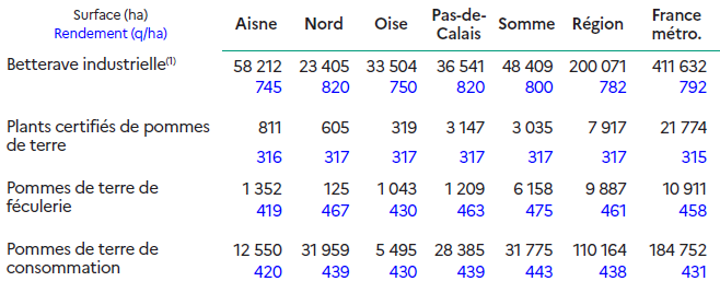 Le tableau présente les surfaces cultivées et les rendements moyens des principales productions industrielles et de pommes de terre dans les départements des Hauts-de-France, comparés à la moyenne nationale. La betterave industrielle couvre 200 071 hectares dans la région, soit près de la moitié de la surface nationale (411 632 ha). Les rendements régionaux atteignent 782 quintaux par hectare, proches de la moyenne française (792 q/ha). Les plus grandes surfaces se trouvent dans l'Aisne (58 212 ha) et la Somme (48 409 ha). Les plants certifiés de pommes de terre occupent 7 917 hectares dans la région, avec un rendement moyen de 317 q/ha, équivalent à la moyenne nationale (315 q/ha). Les principales zones de production se situent dans le Pas-de-Calais et la Somme. Les pommes de terre de féculerie couvrent 9 887 hectares dans la région, pour un rendement moyen de 461 q/ha, supérieur à la moyenne française (451 q/ha). La Somme concentre la majorité des surfaces avec plus de 6 000 hectares. Les pommes de terre de consommation représentent 110 164 hectares dans les Hauts-de-France, soit une part importante de la production nationale (184 752 ha). Le rendement régional atteint 438 q/ha, supérieur à la moyenne française (431 q/ha). Les départements du Pas-de-Calais et de la Somme dominent cette production, suivis du Nord. Dans l'ensemble, les Hauts-de-France se distinguent par des surfaces très importantes et des rendements élevés, confirmant leur rôle majeur dans la production de betteraves et de pommes de terre en France.