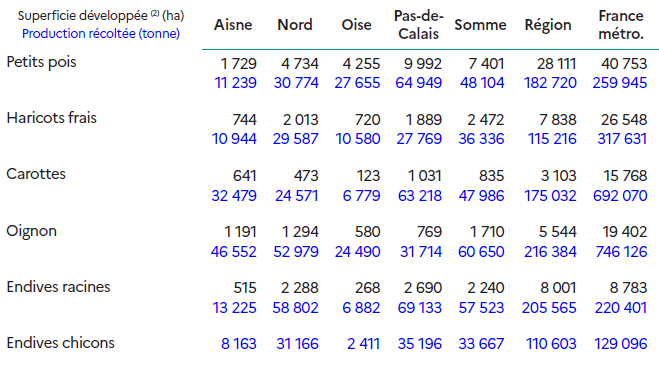 Le tableau présente les surfaces cultivées et les productions récoltées pour les principales cultures légumières dans les départements des Hauts-de-France, comparées à la moyenne nationale. Pour les petits pois, la région compte 28 111 hectares cultivés, soit près de 69 % de la surface nationale (40 753 ha). La production atteint 182 720 tonnes, représentant environ 70 % de la production française. Les plus grandes surfaces se trouvent dans le Pas-de-Calais (9 992 ha) et la Somme (7 401 ha). Les haricots frais couvrent 7 838 hectares dans la région, soit près de 30 % de la surface nationale (26 548 ha). La production régionale s'élève à 115 216 tonnes, soit environ 36 % de la production française. Le Nord et le Pas-de-Calais concentrent la majorité des surfaces. Pour les carottes, la région cultive 3 135 hectares, soit environ 18 % de la surface nationale (17 395 ha). La production atteint 175 032 tonnes, représentant 25 % de la production française. Les principaux départements producteurs sont le Pas-de-Calais et la Somme. Les oignons occupent 5 544 hectares dans la région, soit 29 % de la surface nationale (19 402 ha). La production atteint 316 284 tonnes, soit 42 % de la production française. Les plus fortes concentrations se trouvent dans la Somme et le Nord. Les endives racines couvrent 8 001 hectares, soit la quasi-totalité de la surface nationale (9 783 ha). La production atteint 220 401 tonnes, représentant environ 90 % de la production française. Le Nord domine largement cette culture avec plus de 5 800 hectares. Enfin, les endives chicons sont produites sur 7 603 hectares dans la région, soit 85 % de la surface nationale (8 963 ha). La production atteint 110 603 tonnes, soit 86 % de la production française. Le Nord et le Pas-de-Calais concentrent la majorité des exploitations. Dans l'ensemble, les Hauts-de-France se distinguent par leur forte spécialisation dans les légumes de plein champ, occupant les premiers rangs nationaux pour les petits pois, les haricots, les oignons et surtout les endives.