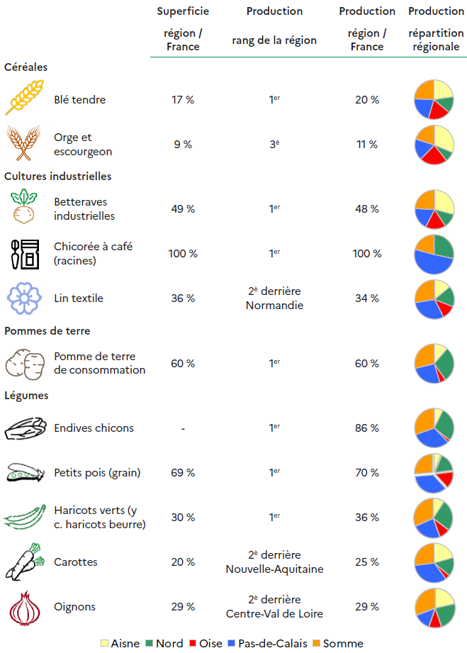 Le tableau présente la place des Hauts-de-France dans la production agricole nationale selon les principales cultures. Pour les céréales, le blé tendre occupe 17 % de la superficie nationale et place la région au 1er rang avec 20 % de la production française. L'orge et l'escourgeon couvrent 9 % de la superficie nationale, la région se classant 3e avec 11 % de la production. Concernant les cultures industrielles, les betteraves industrielles représentent 49 % de la superficie nationale, plaçant la région au 1er rang avec 48 % de la production française. La chicorée à café (racines) est produite à 100 % dans la région, qui détient donc le monopole national. Le lin textile couvre 36 % de la superficie nationale, la région occupant le 2e rang derrière la Normandie avec 34 % de la production. Pour les pommes de terre, la région produit 60 % des pommes de terre de consommation françaises, ce qui la place au 1er rang national. Du côté des légumes, les endives (chicons) sont produites à 86 % dans la région, qui occupe le 1er rang national. Les petits pois (grain) représentent 69 % de la superficie nationale et 70 % de la production, également au 1er rang. Les haricots verts (et haricots beurre) placent la région au 1er rang avec 36 % de la production française. Les carottes assurent 25 % de la production nationale, la région se classant 2e derrière la Nouvelle-Aquitaine. Les oignons représentent 29 % de la production française, la région occupant le 2e rang derrière le Centre-Val de Loire. Les diagrammes circulaires montrent la répartition de la production au sein de la région : le Pas-de-Calais et la Somme dominent la plupart des productions, suivis de l'Aisne, de l'Oise et du Nord selon les cultures.