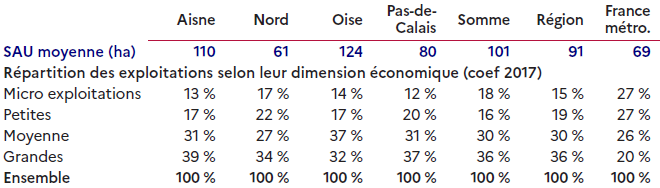 Le tableau présente la taille moyenne des exploitations agricoles et leur répartition selon la dimension économique dans les départements des Hauts-de-France, comparée à la moyenne nationale. La surface agricole utile moyenne y est de 91 hectares, nettement supérieure à celle de la France métropolitaine (69 ha). L'Oise et l'Aisne se distinguent par les exploitations les plus vastes, tandis que le Nord affiche les plus petites. Les grandes exploitations représentent 36 % du total régional, une proportion bien plus élevée qu'au niveau national (20 %), alors que les microexploitations sont moins nombreuses (15 % contre 27 %). Cela traduit une agriculture régionale caractérisée par des structures plus grandes et économiquement plus importantes que la moyenne française.