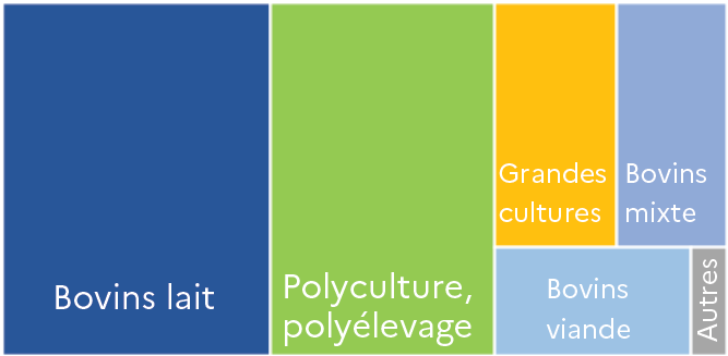 Graphique en treemap montrant la répartition du cheptel par type d'exploitation en Hauts-de-France par orientation technico-économique en 2020. La catégorie "Bovins lait" représente la plus grande part, suivie de "Polyculture, polyélevage". Les catégories plus petites sont "Grandes cultures", "Bovins viande", "Bovins mixte" et "Autres".