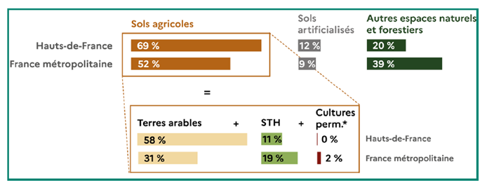 Graphique représentant la répartition de l'occupation des sols en 2020 : dans les Hauts-de-France, 69 % de sols agricoles, 12 % de sols artificialisés et 20 % d'espaces naturels et forestiers ; en France métropolitaine, 52 %, 9 % et 39 % respectivement. Les sols agricoles se composent de 58 % de terres arables, 11 % de surfaces toujours en herbe et 0 % de cultures permanentes dans les Hauts-de-France, contre 31 %, 19 % et 2 % en France métropolitaine.