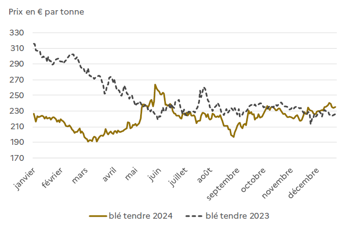 Graphique montrant l'évolution des prix du blé tendre en euros par tonne en 2023 et 2024. En 2023, les prix commencent au-dessus de 300 €/t en janvier puis diminuent régulièrement pour atteindre environ 220 €/t en fin d'année. En 2024, les prix démarrent autour de 220 €/t, baissent légèrement jusqu'au printemps, puis fluctuent entre 210 et 240 €/t, avec un pic proche de 250 €/t en juin, avant de se stabiliser en fin d'année autour de 230 €/t.