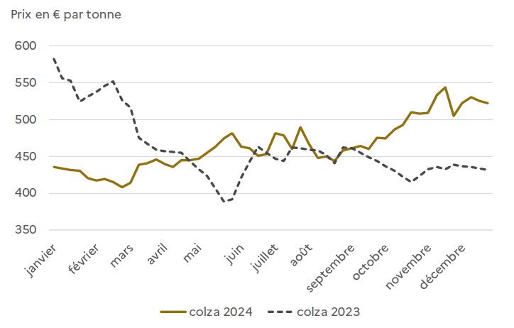 Graphique comparant l'évolution du prix du colza en 2023 et 2024, en euros par tonne, de janvier à décembre. En 2023, les prix débutent autour de 580 € puis diminuent régulièrement jusqu'à environ 420 € en fin d'année. En 2024, les prix commencent vers 430 €, restent stables au printemps, puis augmentent progressivement avec des variations pour atteindre environ 520 € en décembre.