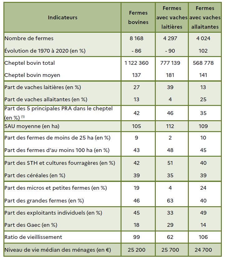 Tableau comparatif présentant les principales caractéristiques des fermes bovines, des fermes avec vaches laitières et des fermes avec vaches allaitantes. On y observe notamment : Une forte baisse du nombre de fermes entre 1970 et 2020 : -86 % pour l'ensemble des fermes bovines, -90 % pour les laitières, tandis que les allaitantes ont augmenté de 102 %. Un cheptel bovin total de 1,12 million de têtes, avec un cheptel moyen de 137 bovins par ferme. Les fermes laitières comptent en moyenne 181 bovins, contre 141 pour les allaitantes. La surface agricole utile moyenne est d'environ 105 ha, légèrement plus élevée pour les laitières (112 ha) et les allaitantes (109 ha). Les grandes fermes représentent 46 % des exploitations bovines, et jusqu'à 63 % chez les laitières. Le ratio de vieillissement est plus élevé dans les fermes allaitantes (106) que dans les laitières (62). Le niveau de vie médian des ménages agricoles varie peu : environ 25 200 € pour les bovins, 25 700 € pour les laitières et 24 700 € pour les allaitantes.