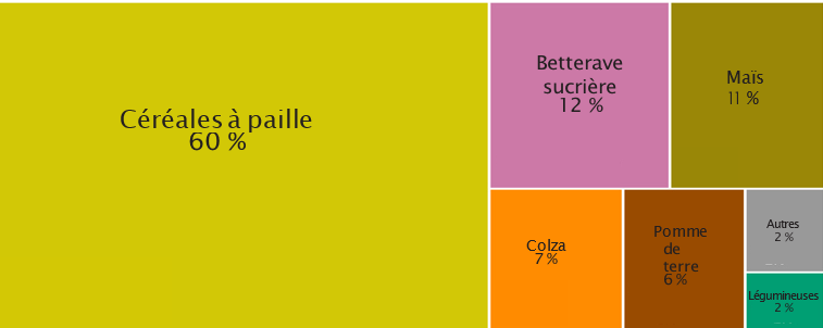 Le graphique représente la répartition des cultures agricoles (en pourcentage de surface cultivée) : - Céréales à paille : 60 % – représentent la majorité de la surface cultivée. - Betterave sucrière : 12 % - Maïs : 11 % - Colza : 7 % - Pomme de terre : 6 % - Autres cultures : 2 % - Légumineuses : 2 %