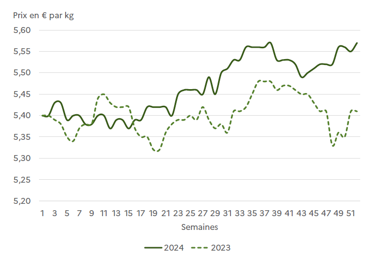 Graphique comparant le prix en euros par kilogramme de la viande bovine de race allaitante pour les années 2023 et 2024. La courbe de l'année 2024 affiche une tendance générale à la hausse. Le prix part d'environ 5,40 € en début d'année et augmente progressivement pour atteindre des pics au-dessus de 5,55 € au second semestre. La courbe de l'année 2023, plus fluctuante, se situe à un niveau de prix constamment inférieur à celui de 2024, à l'exception des toutes premières semaines. Son point le plus haut est atteint en semaine 37, autour de 5,48 €, avant de refluer en fin d'année.