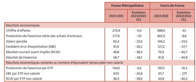 Le tableau compare les résultats économiques des exploitations bovines viande en 2023 entre la France métropolitaine et les Hauts-de-France. Il montre une baisse générale des indicateurs par rapport à 2022. Le chiffre d'affaires atteint 276 000 euros en France et 398 000 euros dans les Hauts-de-France. L'excédent brut d'exploitation et le résultat courant avant impôts reculent fortement, plus encore dans la région. Les résultats ramenés à l'équivalent temps plein non salarié confirment cette tendance, avec une diminution marquée du revenu par actif.