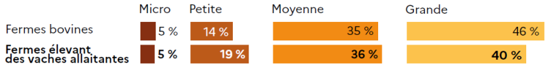 Le graphique compare la taille économique des exploitations bovines et celle des fermes élevant des vaches allaitantes dans les Hauts-de-France. Les microfermes représentent une part identique dans les deux catégories (5 %). En revanche, les petites exploitations sont un peu plus nombreuses parmi les fermes avec vaches allaitantes (19 %) que dans l'ensemble des fermes bovines (14 %). Les exploitations de taille moyenne sont présentes dans des proportions proches : 35 % pour les fermes bovines et 36 % pour celles avec vaches allaitantes. Enfin, les grandes exploitations sont plus fréquentes parmi les fermes bovines (46 %) que parmi celles élevant des vaches allaitantes (40 %). Ainsi, les fermes avec vaches allaitantes se distinguent par une structure légèrement plus petite, avec davantage de petites exploitations et un peu moins de grandes, traduisant une orientation plus herbagère et moins intensive.