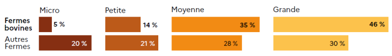 Graphique en barres horizontales comparant la taille économique des fermes bovines et des autres fermes. Pour les fermes bovines : 5 % sont micro, 14 % petites, 35 % moyennes et 46 % grandes. Pour les autres fermes : 20 % sont micro, 21 % petites, 28 % moyennes et 30 % grandes.