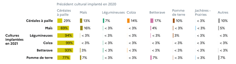 Tableau croisé indiquant le précédent cultural implanté en 2020 selon les cultures mises en place en 2021. Les pourcentages indiquent la proportion de surfaces ayant eu chaque type de précédent. Cultures implantées en 2021 et leur précédent cultural (implanté en 2020) : - Céréales à paille : •	29 % après céréales à paille •	13 % après maïs •	7 % après légumineuses •	14 % après colza •	17 % après betterave •	10 % après pomme de terre •	<3 % après jachères-prairies •	10 % après autres -Maïs : •	69 % après céréales à paille •	16 % après maïs •	4 % après betterave •	5 % après autres •	<3 % pour tous les autres précédents - Légumineuses : •	94 % après céréales à paille •	<3 % pour tous les autres précédents -Colza : •	99 % après céréales à paille •	<3 % pour tous les autres précédents -Betterave : •	93 % après céréales à paille •	3 % après maïs •	<3 % pour tous les autres précédents -Pomme de terre : •	77 % après céréales à paille •	7 % après maïs •	7 % après betterave •	7 % après autres •	<3 % pour tous les autres précédents