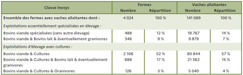 Le tableau présente la répartition des fermes avec vaches allaitantes dans les Hauts-de-France selon la classification Inosys. L'ensemble compte 4 024 fermes totalisant 141 089 vaches allaitantes. Les exploitations essentiellement spécialisées en élevage regroupent 488 fermes de bovins viande sans autre élevage, soit 12 % du total, avec 19 767 vaches allaitantes (14 %). À cela s'ajoutent 346 fermes combinant bovins viande et bovins lait, éventuellement avec des granivores, représentant 9 % des exploitations et 9 879 vaches (7 %). Les exploitations d'élevage avec cultures sont majoritaires. On compte 2 106 fermes de bovins viande et cultures, soit 52 % du total, regroupant 80 844 vaches (57 %). Viennent ensuite 688 fermes associant bovins viande, cultures et bovins lait (et éventuellement granivores), représentant 17 % des exploitations et 21 562 vaches (15 %). Enfin, 126 fermes combinent bovins viande, cultures et granivores, soit 3 % des exploitations et 5 040 vaches (4 %). Ces données montrent que la majorité des vaches allaitantes se trouvent dans des exploitations mixtes associant élevage et cultures, qui concentrent près des deux tiers des fermes et plus de 70 % du cheptel régional.