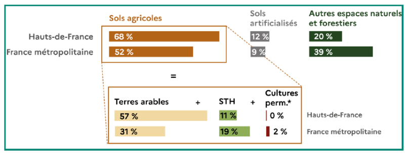 Graphique repr&eacute;sentant la r&eacute;partition de l'occupation des sols en 2020 : dans les Hauts-de-France, 69 % de sols agricoles, 12 % de sols artificialis&eacute;s et 20 % d'espaces naturels et forestiers ; en France m&eacute;tropolitaine, 52 %, 9 % et 39 % respectivement. Les sols agricoles se composent de 58 % de terres arables, 11 % de surfaces toujours en herbe et 0 % de cultures permanentes dans les Hauts-de-France, contre 31 %, 19 % et 2 % en France m&eacute;tropolitaine.