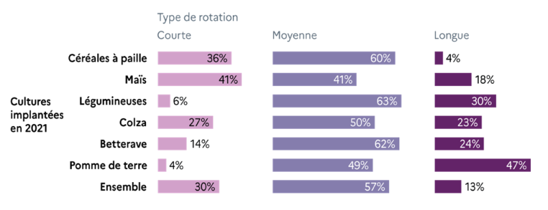 Le graphique présente la répartition des surfaces de de grandes cultures de 2021 selon la durée des rotations par catégorie de culture. Le tableau est structuré en lignes pour chaque culture et en colonnes pour le type de rotation. Les pourcentages indiquent la part de chaque culture dans chaque type de rotation. -Céréales à paille : 36% en rotation courte, 60% en rotation moyenne, 4% en rotation longue. -Maïs : 41% en rotation courte, 41% en rotation moyenne, 18% en rotation longue. -Légumineuses : 6% en rotation courte, 63% en rotation moyenne, 30% en rotation longue. -Colza : 27% en rotation courte, 50% en rotation moyenne, 23% en rotation longue. -Betterave : 14% en rotation courte, 62% en rotation moyenne, 24% en rotation longue. -Pomme de terre : 4% en rotation courte, 49% en rotation moyenne, 47% en rotation longue. -Ensemble : 30% en rotation courte, 57% en rotation moyenne, 13% en rotation longue.
