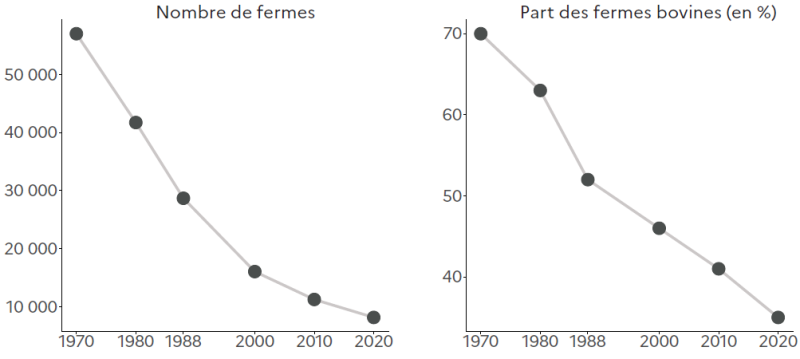 Deux graphiques linéaires. Le premier montre la diminution du nombre de fermes en Hauts-de-France entre 1970 et 2020, passant d'environ 55 000 à moins de 10 000. Le second indique la baisse de la part des fermes bovines sur la même période, de près de 70 % à environ 30 %.