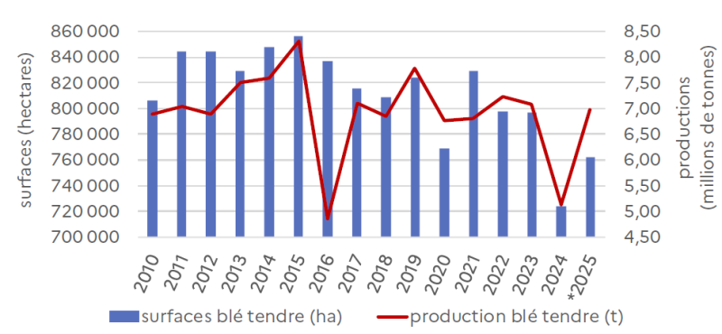 Le graphique présente l'évolution des surfaces (en hectares, échelle de gauche) et de la production (en millions de tonnes, échelle de droite) de blé tendre en Hauts-de-France entre 2010 et 2025. Surfaces de blé tendre : Les surfaces cultivées oscillent entre environ 700 000 ha et 850 000 ha sur la période. En 2010, elles s'établissent à environ 780 000 ha, augmentent progressivement pour atteindre un pic proche de 850 000 ha en 2012 et 2014, puis se maintiennent entre 800 000 et 840 000 ha jusqu'en 2016. À partir de 2017, les surfaces diminuent légèrement, oscillant entre 780 000 et 830 000 ha jusqu'en 2021. Entre 2022 et 2025, les surfaces se stabilisent autour de 780 000-800 000 ha, avec une légère baisse en 2024 (environ 760 000 ha) avant de remonter légèrement en 2025 (environ 780 000 ha). Production de blé tendre : La production présente une forte variabilité interannuelle, reflétant l'impact des conditions climatiques et agronomiques. En 2010, elle s'établit à environ 6,8 millions de tonnes, puis augmente pour atteindre environ 7,0-7,5 millions de tonnes entre 2011 et 2014, avec un pic historique proche de 8,2 millions de tonnes en 2015. La production chute ensuite fortement à environ 5,0 millions de tonnes en 2016, puis remonte à environ 7,0-7,8 millions de tonnes entre 2017 et 2019. En 2020, elle atteint un nouveau pic proche de 8,0 millions de tonnes, avant de diminuer progressivement vers 7,0-7,2 millions de tonnes en 2021-2022. La production chute fortement en 2024 à environ 5,2 millions de tonnes, puis remonte légèrement en 2025 à environ 6,8 millions de tonnes. Globalement, l'évolution montre une relative stabilité des surfaces cultivées sur la période, tandis que la production présente une forte volatilité liée aux rendements, avec des années exceptionnelles (2015, 2020) et des années difficiles (2016, 2024), traduisant l'impact déterminant des conditions météorologiques et sanitaires sur les performances de la culture du blé tendre en Hauts-de-France.