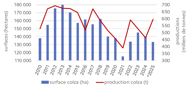 Le graphique présente l'évolution des surfaces (en hectares, échelle de gauche) et de la production (en milliers de tonnes, échelle de droite) de colza en Hauts-de-France entre 2010 et 2025. Surfaces de colza : Les surfaces cultivées oscillent entre environ 110 000 ha et 180 000 ha sur la période, avec une tendance générale à la baisse depuis 2012. En 2010, elles s'établissent à environ 140 000 ha, puis augmentent fortement pour atteindre un pic historique proche de 180 000 ha en 2012-2013. Les surfaces se maintiennent à un niveau élevé autour de 170 000-175 000 ha entre 2013 et 2015, avant de diminuer progressivement à environ 155 000 ha en 2016-2017, puis à environ 145 000-160 000 ha entre 2018 et 2019. À partir de 2020, les surfaces chutent fortement pour atteindre environ 115 000 ha en 2021, puis remontent légèrement à environ 135 000 ha en 2022-2023, avant de redescendre à environ 150 000 ha en 2024 et environ 140 000 ha en 2025. Production de colza : La production présente une forte variabilité interannuelle, avec des fluctuations importantes liées aux rendements. En 2010, elle s'établit à environ 550 000 tonnes, puis augmente fortement pour atteindre un pic historique proche de 700 000 tonnes en 2012-2013. La production se maintient à un niveau élevé autour de 650 000-680 000 tonnes entre 2013 et 2015, avant de chuter fortement à environ 550 000 tonnes en 2016. Elle remonte ensuite à environ 680 000 tonnes en 2017, puis diminue progressivement à environ 600 000 tonnes en 2018-2019. À partir de 2020, la production chute drastiquement pour atteindre environ 400 000 tonnes en 2021, puis remonte à environ 600 000 tonnes en 2022-2023, avant de redescendre à environ 500 000 tonnes en 2024 et de remonter légèrement à environ 600 000 tonnes en 2025. Globalement, l'évolution révèle une tendance à la baisse des surfaces cultivées depuis le pic de 2012-2013, avec une chute particulièrement marquée en 2020-2021, probablement liée aux difficultés sanitaires (altises, méligèthes) et aux restrictions phytosanitaires. La production suit cette tendance avec une forte volatilité liée aux rendements, traduisant l'impact déterminant des conditions climatiques et de la pression parasitaire sur les performances de la culture du colza en Hauts-de-France.
