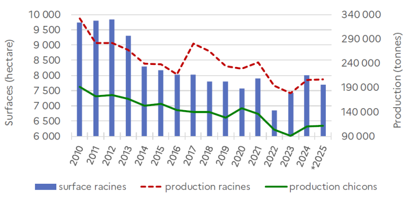 Le graphique présente l'évolution des surfaces de racines (en hectares, échelle de gauche, barres), de la production de racines (en tonnes, échelle de droite, ligne pointillée), et de la production de chicons (en tonnes, échelle de droite, ligne continue) d'endives en Hauts-de-France entre 2010 et 2025. Surfaces de racines d'endives : Les surfaces cultivées diminuent progressivement sur la période, passant d'environ 9 800 ha en 2010 à environ 7 800 ha en 2025, soit une baisse d'environ 20%. En 2010-2011, les surfaces atteignent leur niveau le plus élevé, autour de 9 800-9 900 ha. À partir de 2012, elles amorcent une baisse progressive, passant à environ 9 200 ha en 2013, puis à environ 8 800 ha en 2014-2015. La décrue se poursuit avec environ 8 200-8 400 ha entre 2016 et 2018, puis environ 7 800-8 000 ha entre 2019 et 2021. Entre 2022 et 2024, les surfaces se stabilisent autour de 6 800-7 200 ha, marquant un creux historique. En 2025, elles remontent légèrement à environ 7 800 ha. Cette contraction reflète les difficultés structurelles de la filière endive face à la concurrence internationale et à l'évolution des modes de consommation. Production de racines d'endives : La production de racines suit une tendance similaire aux surfaces, avec une baisse progressive sur la période. En 2010, elle atteint environ 320 000 tonnes, puis se maintient autour de 300 000-310 000 tonnes entre 2011 et 2014. À partir de 2015, la production diminue progressivement pour atteindre environ 260 000-280 000 tonnes entre 2015 et 2018. L'année 2019 marque un creux important avec environ 240 000 tonnes. La production remonte légèrement à environ 250 000-260 000 tonnes entre 2020 et 2022, avant de chuter à nouveau à environ 200 000 tonnes en 2023, marquant le niveau le plus bas de la période. Elle remonte ensuite à environ 230 000 tonnes en 2024-2025. Production de chicons d'endives : La production de chicons présente également une tendance baissière, mais avec une volatilité plus marquée. En 2010, elle s'établit à environ 190 000 tonnes, puis se maintient autour de 170 000-180 000 tonnes entre 2011 et 2014. À partir de 2015, la production diminue progressivement pour atteindre environ 150 000-160 000 tonnes entre 2015 et 2019. Entre 2020 et 2021, elle se stabilise autour de 160 000-170 000 tonnes. L'année 2022 marque un creux historique avec environ 110 000 tonnes, suivie d'une légère remontée à environ 120 000 tonnes en 2023. La production remonte ensuite à environ 130 000 tonnes en 2024, puis à environ 140 000 tonnes en 2025, restant néanmoins bien en deçà des niveaux de 2010-2020. Rapport production de chicons / production de racines : Le graphique révèle que la production de chicons représente environ 50-60% de la production de racines, reflétant les pertes et le rendement du processus de forçage. Ce ratio semble relativement stable sur la période, bien qu'on observe une légère dégradation en 2022-2023, suggérant des difficultés techniques ou économiques dans le processus de transformation. Globalement, l'évolution révèle un déclin structurel de la filière endive en Hauts-de-France, avec une contraction des surfaces cultivées et des productions sur l'ensemble de la période 2010-2025. Cette tendance reflète les difficultés de la filière face à la concurrence des endives importées (notamment de Belgique et des Pays-Bas), à l'évolution des habitudes de consommation, et aux contraintes économiques (coûts de production élevés, notamment pour le forçage). La chute particulièrement marquée en 2022-2023 suggère une crise conjoncturelle liée probablement à la hausse des coûts énergétiques (le forçage des endives nécessitant des installations chauffées) et à des conditions climatiques défavorables.