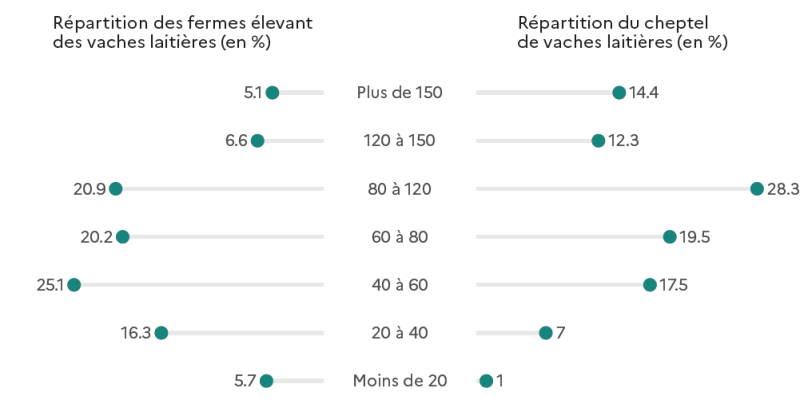 Graphique en barres horizontales présentant la répartition des fermes élevant des vaches laitières et celle du cheptel de vaches laitières, selon la taille du troupeau. Moins de 20 vaches : 5,7 % des fermes, 1 % du cheptel. 20 à 40 vaches : 16,3 % des fermes, 7 % du cheptel. 40 à 60 vaches : 25,1 % des fermes, 17,5 % du cheptel. 60 à 80 vaches : 20,2 % des fermes, 19,5 % du cheptel. 80 à 120 vaches : 20,9 % des fermes, 28,3 % du cheptel. 120 à 150 vaches : 6,6 % des fermes, 12,3 % du cheptel. Plus de 150 vaches : 5,1 % des fermes, 14,4 % du cheptel. Le graphique montre que, bien que la majorité des fermes aient moins de 120 vaches, les plus grands troupeaux concentrent une part importante du cheptel total.