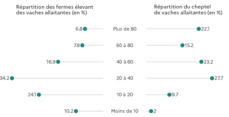 Graphique présentant la répartition des fermes élevant des vaches allaitantes et celle du cheptel correspondant, exprimées en pourcentage selon la taille du troupeau. Les exploitations comptant moins de 10 vaches allaitantes représentent 10,2 % des fermes mais seulement 2 % du cheptel total. Celles ayant entre 10 et 20 vaches constituent 24,1 % des fermes et 9,7 % du cheptel. Les exploitations de 20 à 40 vaches regroupent 34,2 % des fermes et 27,7 % du cheptel, tandis que celles de 40 à 60 vaches représentent 16,9 % des fermes et 23,2 % du cheptel. Les structures de 60 à 80 vaches comptent pour 7,8 % des fermes et 15,2 % du cheptel, et celles de plus de 80 vaches ne représentent que 6,8 % des fermes mais concentrent 22,1 % du cheptel total