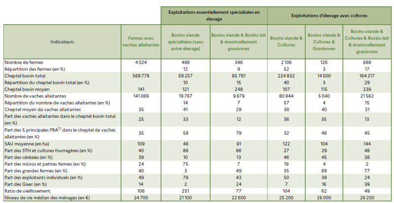Le tableau présente les caractéristiques des exploitations élevant des vaches allaitantes dans les Hauts-de-France, selon leur type de production. L'ensemble regroupe 4 024 fermes totalisant 141 089 vaches allaitantes et 568 778 bovins au total. Les exploitations essentiellement spécialisées en élevage comprennent deux sous-catégories. Les fermes de bovins viande sans autre élevage (488 exploitations, soit 12 %) détiennent 19 767 vaches allaitantes (14 %) et un cheptel moyen de 35 vaches. Les fermes associant bovins viande et bovins lait (346 exploitations, 9 %) comptent 9 879 vaches (7 %) pour un cheptel moyen de 29 vaches. Ces exploitations se distinguent par une forte proportion de prairies permanentes (jusqu'à 48 %) et une part importante d'exploitants individuels. Les exploitations d'élevage avec cultures sont majoritaires. Les fermes de bovins viande et cultures (2 106 exploitations, 52 %) concentrent 80 844 vaches (57 %) et présentent un cheptel moyen de 38 vaches. Celles combinant bovins viande, cultures et granivores (126 exploitations, 3 %) comptent 5 040 vaches (4 %) avec une SAU moyenne élevée et une forte proportion de grandes fermes. Enfin, les exploitations associant bovins viande, cultures et bovins lait (688 exploitations, 17 %) regroupent 21 562 vaches (15 %) et affichent un niveau de vie médian parmi les plus élevés (26 200 €). Globalement, les exploitations mixtes associant élevage et cultures dominent le paysage régional. Elles concentrent la majorité du cheptel allaitant et bénéficient d'une meilleure assise économique, tandis que les structures spécialisées restent plus petites, plus herbagères et à revenu médian plus faible.