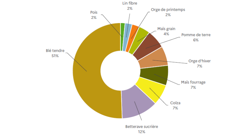 Ce graphique circulaire présente la répartition des surfaces de grandes cultures en Hauts-de-France. Le blé tendre représente la plus grande part avec 51% des surfaces. La betterave sucrière occupe 12% des surfaces. Le colza représente 7% des surfaces, tout comme le maïs fourrage qui compte également 7%. L'orge d'hiver occupe 7% des surfaces. La pomme de terre représente 6% des surfaces. Le maïs grain compte pour 4% des surfaces. L'orge de printemps occupe 2% des surfaces, tout comme le lin fibre et le pois qui représentent chacun 2% des surfaces.