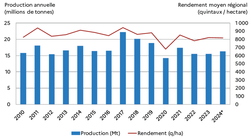Graphique montrant la production annuelle de betterave à sucre en millions de tonnes et le rendement moyen régional en quintaux par hectare de 2010 à 2024. La production varie entre 15 et 23 millions de tonnes avec un pic en 2017, puis une baisse marquée en 2020 avant de remonter légèrement. Le rendement oscille autour de 800 à 900 quintaux par hectare, avec un maximum en 2017 et une chute notable en 2020, suivi d'une stabilisation.