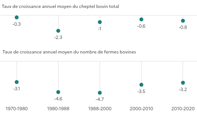Deux graphiques en points. Le premier montre le taux de croissance annuel moyen du cheptel bovin total en Hauts-de-France entre 1970 et 2020, variant de -0,3 % à -2,3 % selon les périodes. Le second montre le taux de croissance annuel moyen du nombre de fermes bovines sur la même période, variant de -3,1 % à -4,7 %.