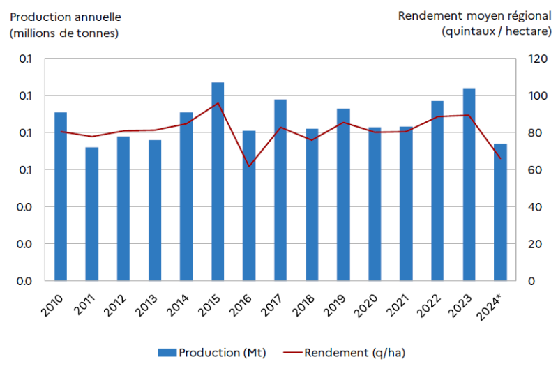 Graphique montrant la production annuelle en millions de tonnes et le rendement moyen régional de l'orge d'hiver en quintaux par hectare de 2010 à 2024. La production se maintient généralement entre 0,7 et 1 million de tonnes, avec un maximum en 2015 et une baisse en 2016 et 2024 (provisoire). Le rendement suit une évolution similaire, avec une chute marquée en 2016 et un recul net en 2024 après une relative stabilité les années précédentes.