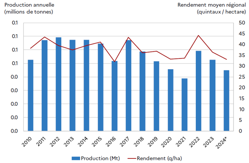 Graphique montrant l'évolution de la production annuelle du colza, en millions de tonnes, et du rendement moyen régional, en quintaux par hectare, entre 2010 et 2024. La production varie entre environ 0,4 et 0,7 million de tonnes, avec un maximum autour de 2011-2012 et un minimum en 2021. Le rendement suit une tendance similaire, oscillant entre 25 et 45 quintaux par hectare, avec des pics en 2011, 2017 et 2022, et un creux marqué en 2016. En 2024, valeur provisoire, la production est estimée légèrement en baisse par rapport à 2023, autour de 0,45 million de tonnes, avec un rendement moyen proche de 32 quintaux par hectare.