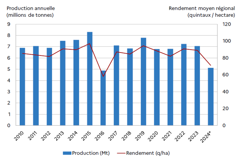 Graphique présentant la production annuelle en millions de tonnes et le rendement moyen régional du blé tendre en quintaux par hectare entre 2010 et 2024. La production reste globalement stable autour de 7 millions de tonnes, avec un pic en 2015 et une forte baisse en 2016 et 2024 (provisoire). Le rendement suit la même tendance, avec une chute marquée en 2016 puis une reprise, avant un recul en 2024.