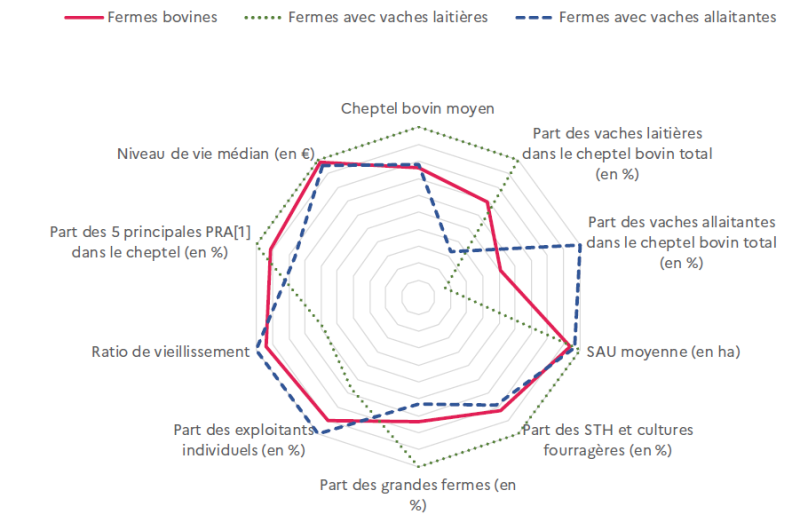 Graphique en toile d'araignée comparant les caractéristiques des fermes bovines, des fermes avec vaches laitières et des fermes avec vaches allaitantes. Les fermes avec vaches laitières (ligne verte pointillée) se distinguent par un cheptel bovin moyen plus élevé, une plus grande part de grandes fermes, une surface agricole utile (SAU) moyenne importante, et un niveau de vie médian légèrement supérieur. Les fermes avec vaches allaitantes (ligne bleue en tirets) présentent une part plus forte de surfaces toujours en herbe et de cultures fourragères, un ratio de vieillissement plus élevé, et une plus grande proportion d'exploitants individuels. Les fermes bovines dans leur ensemble (ligne rouge continue) se situent entre ces deux profils sur la plupart des indicateurs