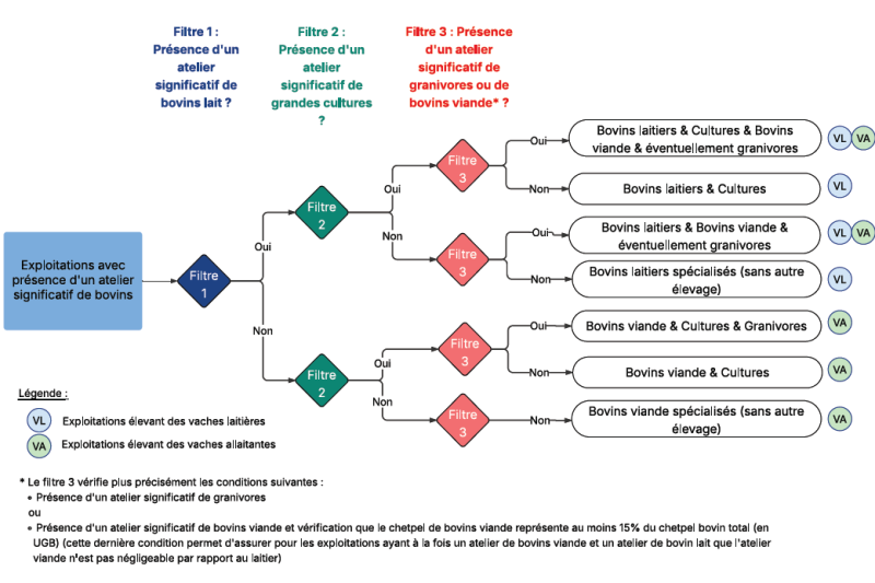 Schéma décisionnel illustrant la classification des exploitations agricoles selon la présence d'ateliers significatifs de bovins, de grandes cultures et de bovins viande. Le processus se déroule en trois filtres : Filtre 1 : vérifie la présence d'un atelier significatif de bovins lait. Filtre 2 : vérifie la présence d'un atelier significatif de grandes cultures. Filtre 3 : vérifie la présence d'un atelier significatif de granivores ou de bovins viande. Les exploitations sont ensuite classées en six catégories : Bovins laitiers & Cultures & Bovins viande et/ou granivores Bovins laitiers & Cultures Bovins laitiers & Bovins viande et/ou granivores Bovins laitiers spécialisés (sans autre élevage) Bovins viande & Cultures & Granivores Bovins viande & Cultures Bovins viande spécialisés (sans autre élevage) Une légende distingue les exploitations avec vaches laitières (VL) et celles avec vaches allaitantes (VA). Le schéma précise que la présence d'un atelier significatif de bovins viande est définie par un cheptel représentant au moins 15 % du cheptel bovin total.