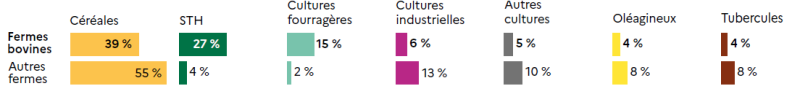 Graphique en barres horizontales comparant la répartition des surfaces agricoles selon le type de culture pour les fermes bovines et les autres fermes. Pour les fermes bovines : 39 % de céréales, 27 % de surfaces toujours en herbe, 15 % de cultures fourragères, 6 % de cultures industrielles, 5 % d'autres cultures, 4 % d'oléagineux et 4 % de tubercules. Pour les autres fermes : 55 % de céréales, 4 % de surfaces toujours en herbe, 2 % de cultures fourragères, 13 % de cultures industrielles, 10 % d'autres cultures, 8 % d'oléagineux et 8 % de tubercules.